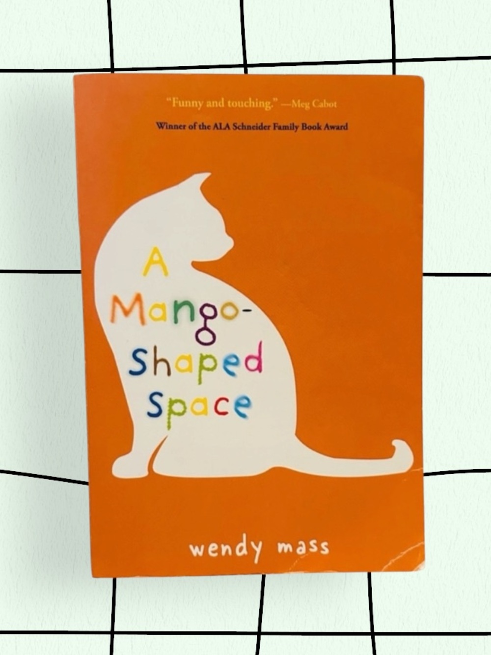 A Mango-Shaped Space' Book by Wendy Mass